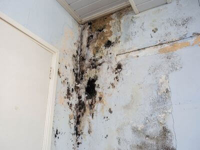 About FastFlow Water Restoration - water damage restoration experts in Valley Farms, AZ